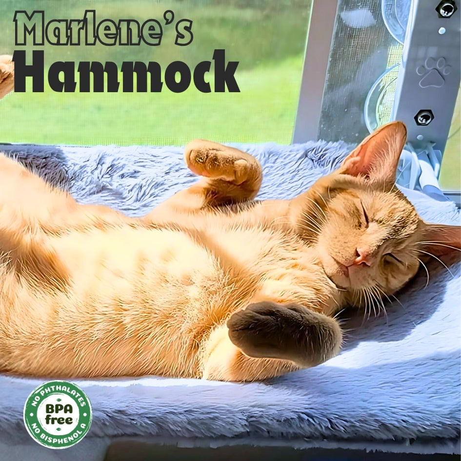 Kitty Kurlz Nap Palace Bundle